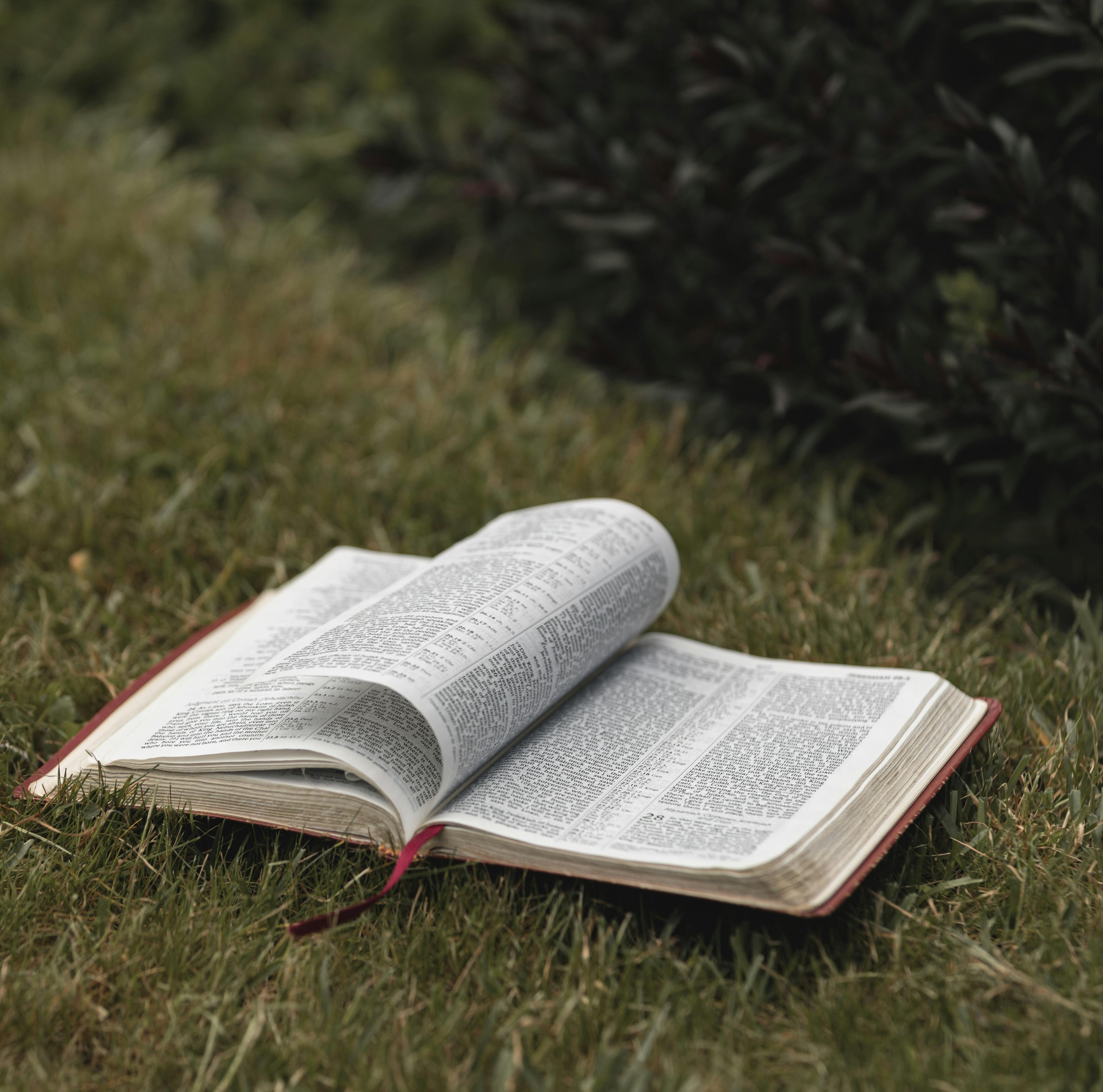 Cómo usar la lectura bíblica como hábito de claridad y crecimiento personal