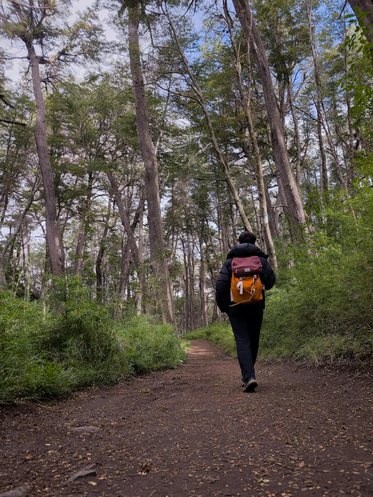 Volver al cuerpo cuando la mente se acelera.